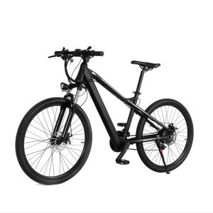Vélo électrique BK7 – 48V Moteur – 350W