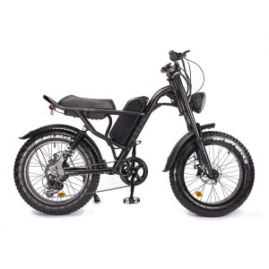 Vélo électrique – Fat Bike Z8
