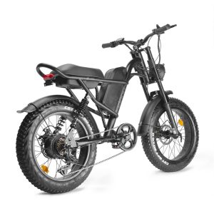 Vélo électrique – Fat Bike Z8