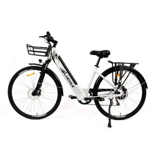 Vélo électrique – Arturo 36V 16Ah 350 W