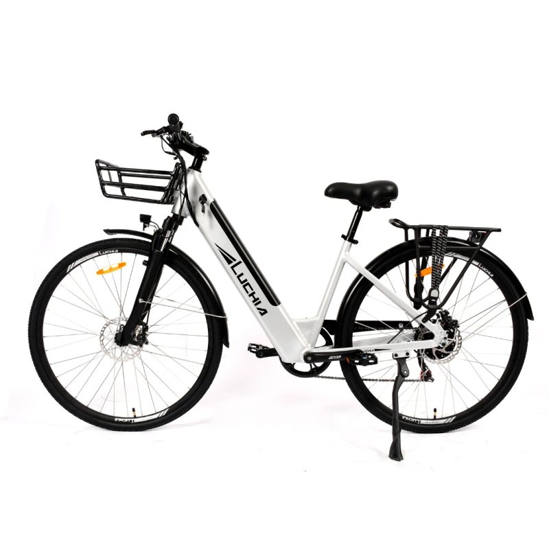 Vélo électrique - Arturo 36V 16Ah 350 W