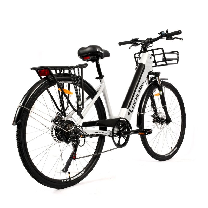 Vélo électrique - Arturo 36V 16Ah 350 W – Image 6