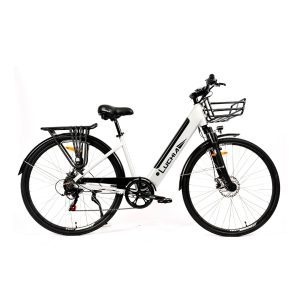 Vélo électrique – Arturo 36V 16Ah 350 W