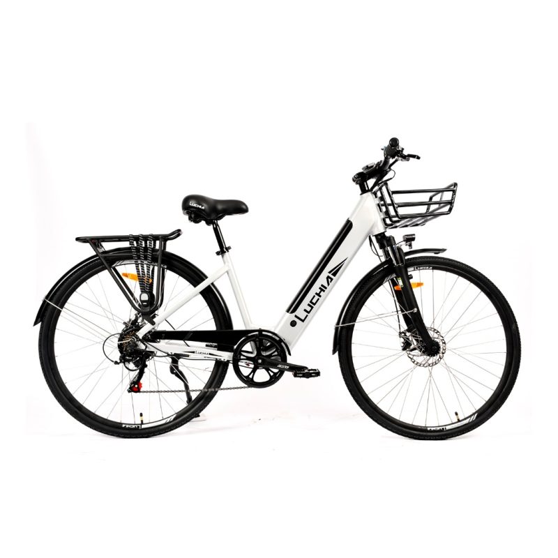 Vélo électrique - Arturo 36V 16Ah 350 W – Image 2