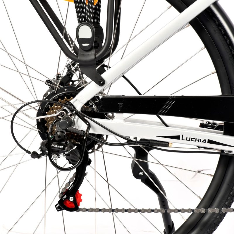 Vélo électrique - Arturo 36V 16Ah 350 W – Image 5