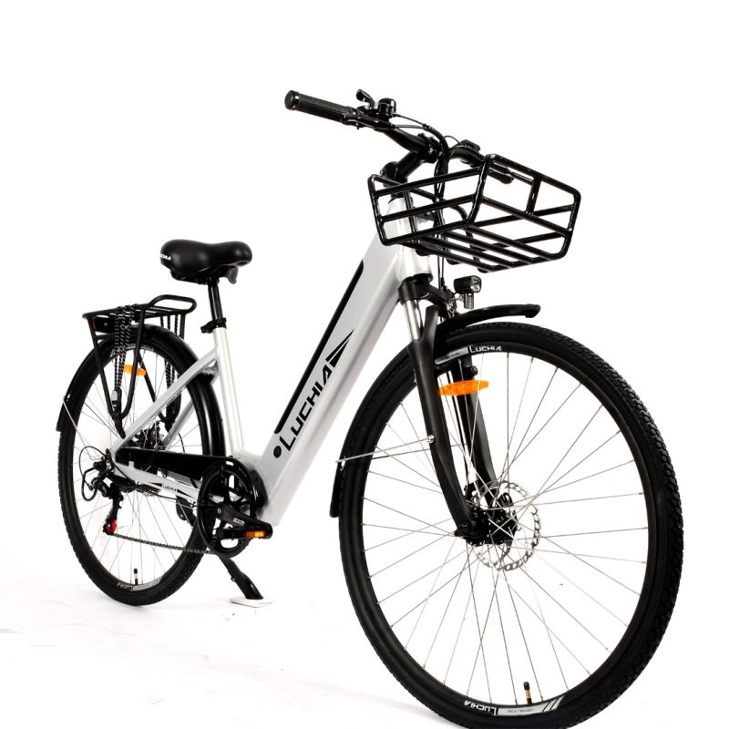 Vélo électrique - Arturo 36V 16Ah 350 W – Image 3