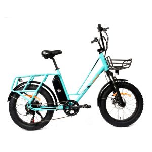 Vélo électrique Fat bike – Tauro 36V-10Ah