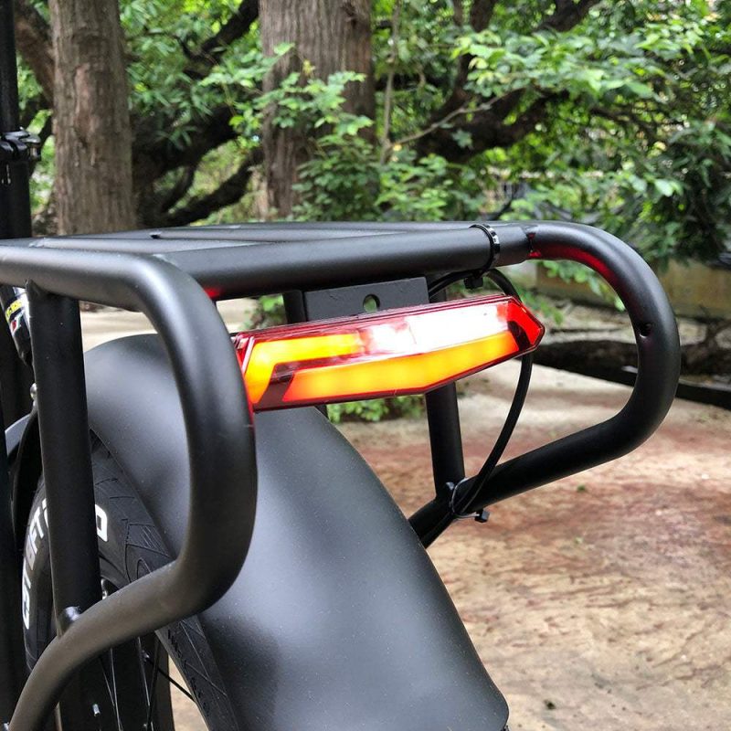 Vélo électrique - Fat Bike Double Moteur Pliable - CMACEWHEEL RX20 Max – Image 6