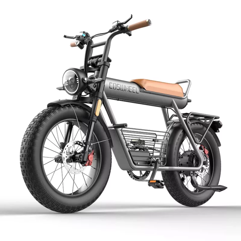 Vélo électrique - Fat bike COSWHEEL CT20 - Moteur 750W 48V 25Ah