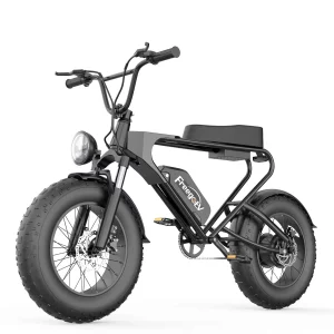 Fat bike électrique – Freego DK200 – Pneu ToutTerrain