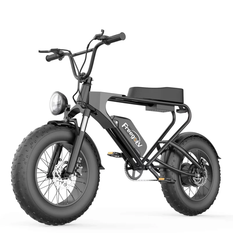 Fat bike électrique - Freego DK200 - Pneu ToutTerrain – Image 2