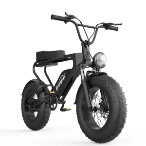 Fat bike électrique – Freego DK200 – Pneu ToutTerrain